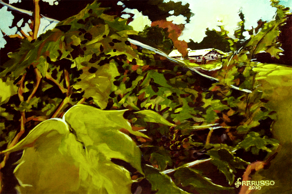 PARADISE_SPRINGS_-_1ST_HARVEST___PAINTING_1_OCT_29_2010___DSC_0061